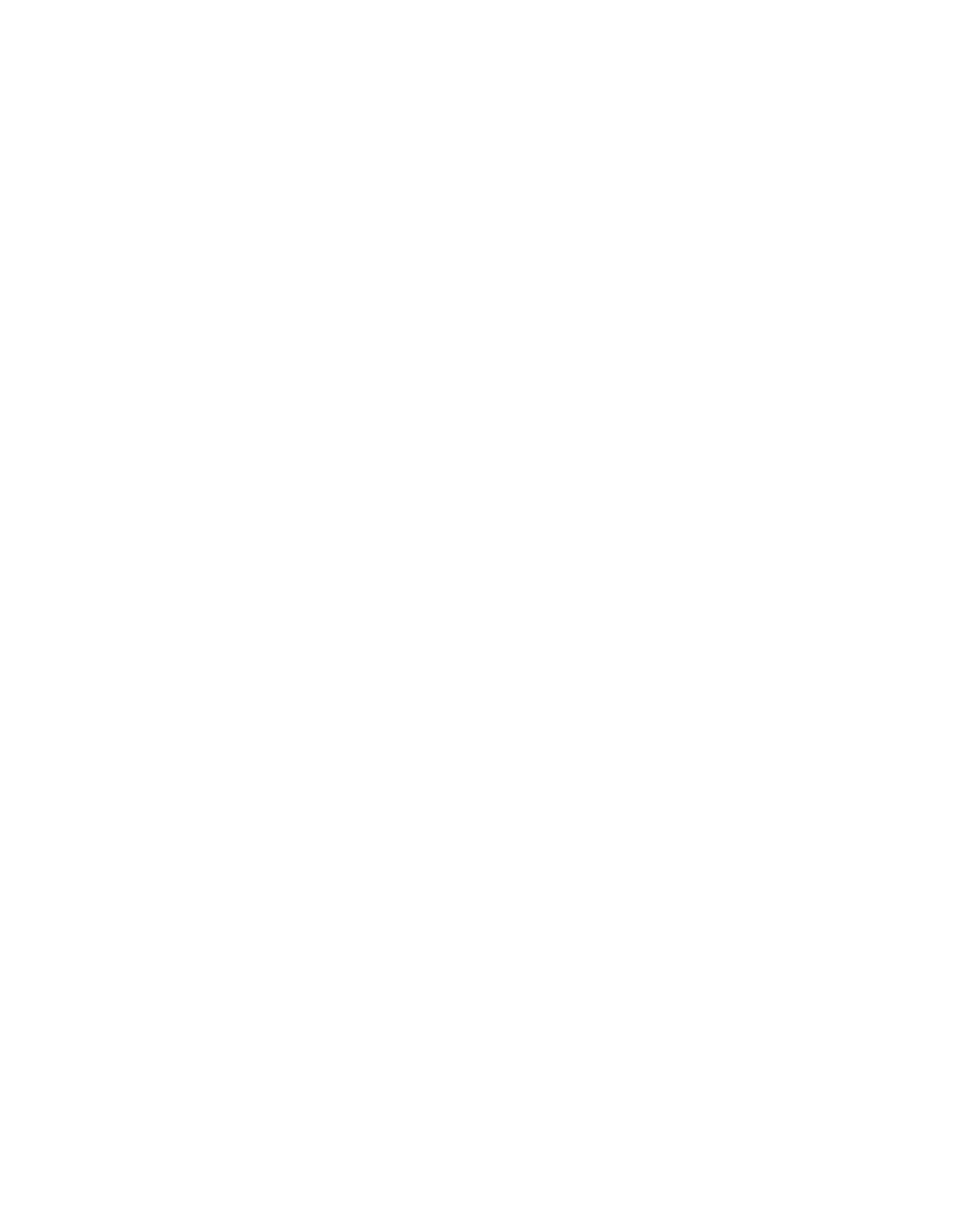 BIBI